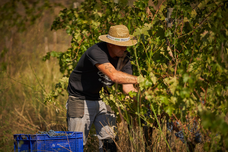 Priorat : visite œnologique à Gratallops pour découvrir les meilleurs vins naturels