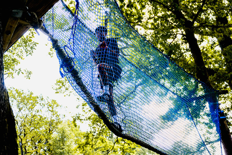 Windermere: Treetop Course (Full Trek)