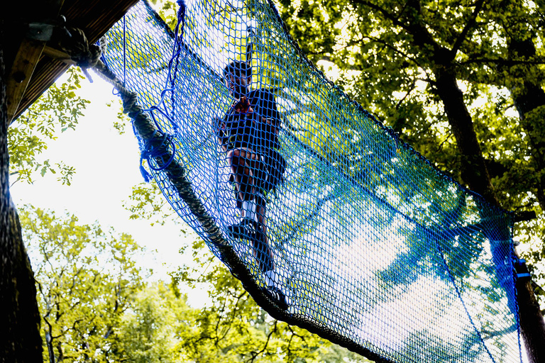 Windermere: Treetop Course (Full Trek)