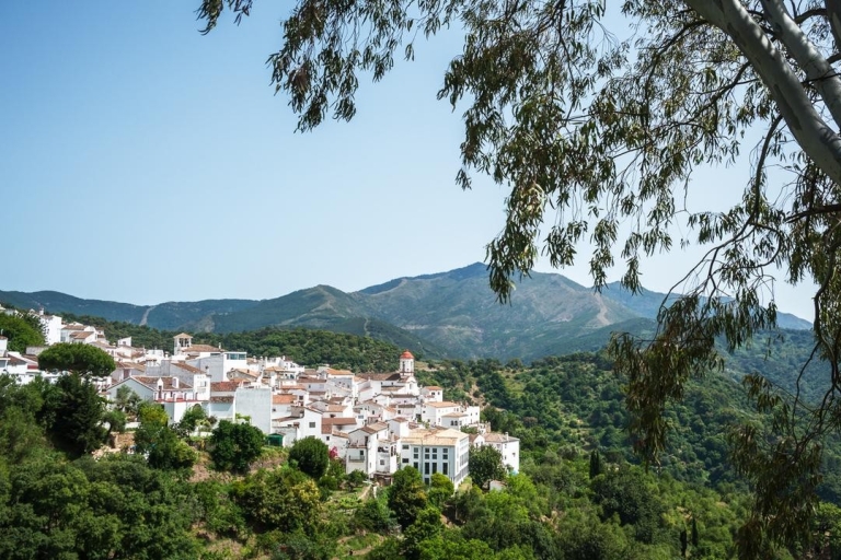 Séville : L'enchantement des villages blancs et l'exploration de Ronda