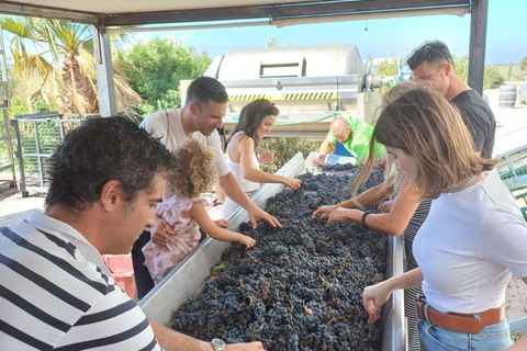 Cadiz: Ecological Vineyards Wine Tasting