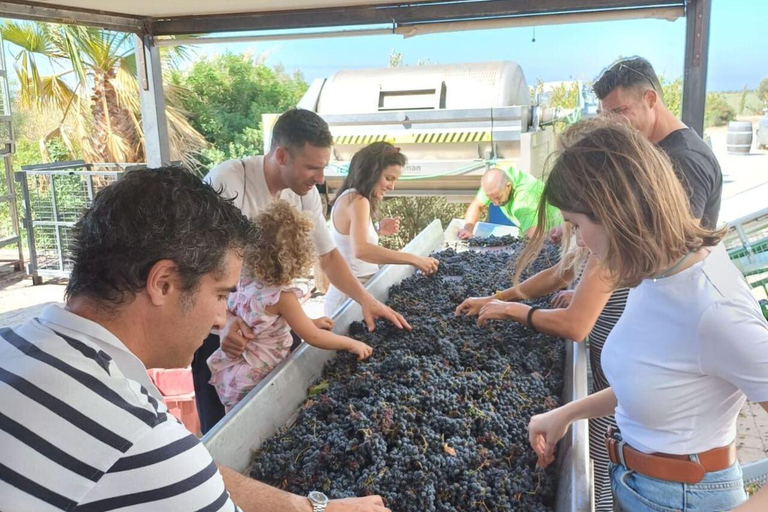 Cadiz: Ecological Vineyards Wine Tasting