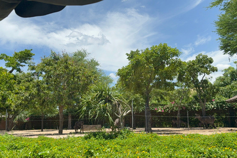 فينبيرل فينووندرز نام هوي آن مع سفاري وحديقة مائيةجولة خاصة بدون بوفيه أو عربة