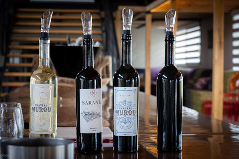 Istanbul: Private Wine Tasting Day Trip to Tekirdag