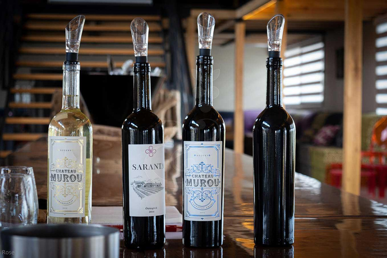 Istanbul: Private Wine Tasting Day Trip to Tekirdag