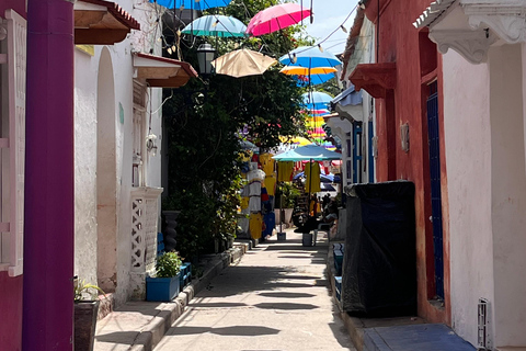 Cartagena Food Tour: 10 Dishes, Street Food & Sit-down stops
