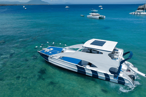 Puerto Plata Private Catamaran: Snorkeling, BBQ & Open Bar Day Cruise + Fresh BBQ