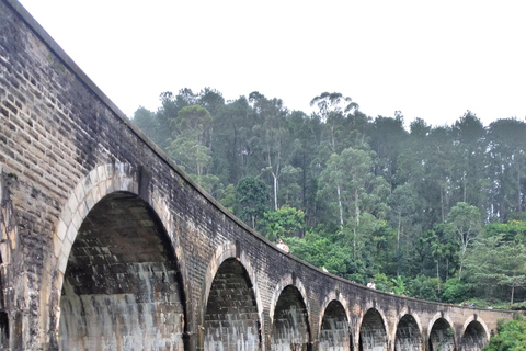 Ella : excursion d&#039;une journée inoubliable et tour en trainElla : excursion d&#039;une journée inoubliable et balade en train