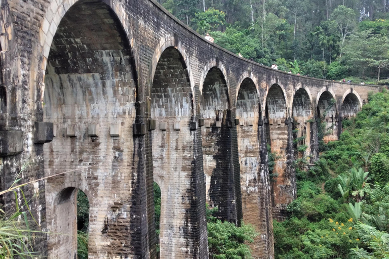 Ella : excursion d&#039;une journée inoubliable et tour en trainElla : excursion d&#039;une journée inoubliable et balade en train