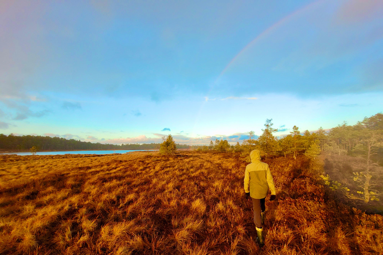 Ķemeri Bogs Adventure: Explore Wetlands In Bog Shoes