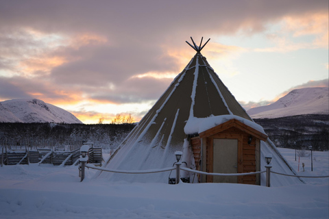 From Tromsø: Sami Culture and Reindeer Feeding