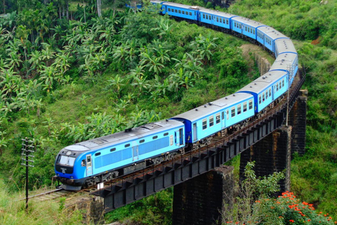 Ambewela to Ella: Scenic Train Ride for Photography Lovers Ambewela to Ella: Scenic Train Ride in 1st/2nd Class cabin