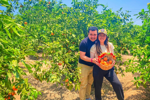 From Lima: Eco Truly Park, Chancay Castle, & Huaral Tour