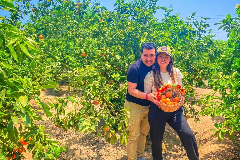 From Lima: Eco Truly Park, Chancay Castle, & Huaral Tour