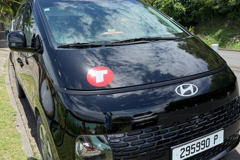 Moorea Van Trip Adventure