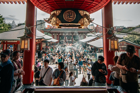 Tokyo Private & Customizable Tour with English Driver Guide