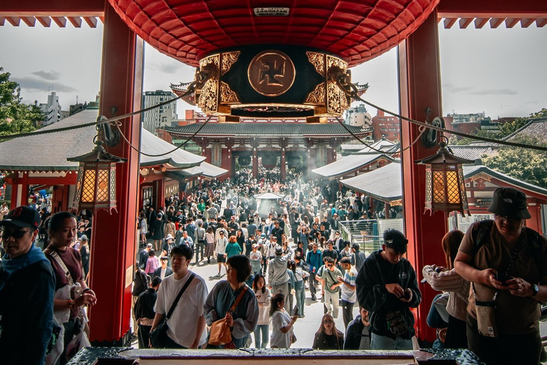 Tokyo Private & Customizable Tour with English Driver Guide