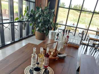 Gin experience course