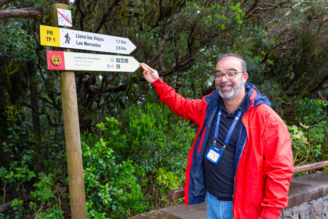 Baladerna Découverte La Laguna &amp; Anaga