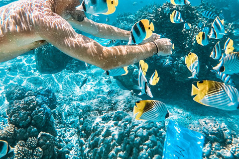 Phuket/Khao lak: Similan Islands Speed Catamaran Day Trip Speed catamaran Trip withPickup(Excludes National Park Fee)