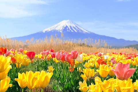 Tokyo: Mt. Fuji & Hakone Private Day Trip with Guide