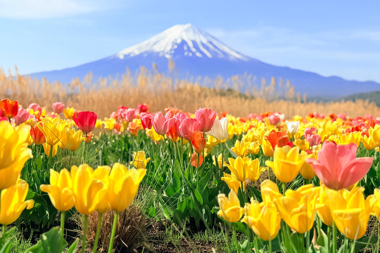 Tokyo: Mt. Fuji & Hakone Private Day Trip with Guide