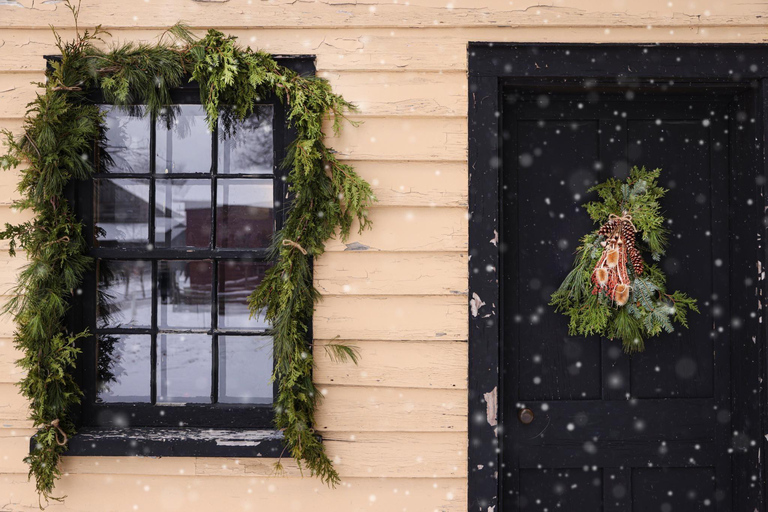 Toronto: Festive Small Town and Christmas Tree Farm Tour