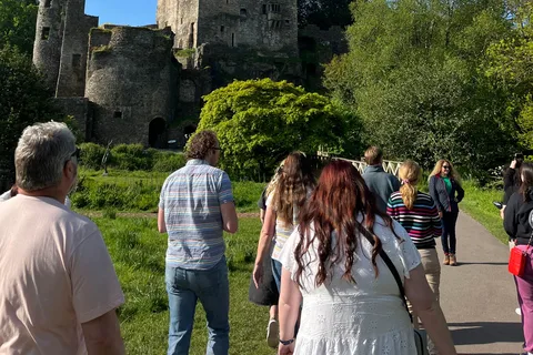 Blarney Castle und Cork City: Private Tour im Taxi.