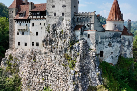 Brașov: Bran Castle, Bear Sanctuary, & Râșnov Citadel Tour