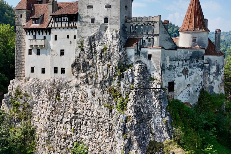 Brașov: Bran Castle, Bear Sanctuary, & Râșnov Citadel Tour