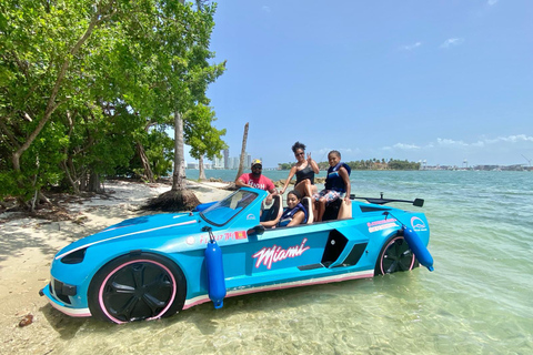 Adrenalina em Miami: Experiência particular única com JetCar1 adulto sem taxas de gás e de marina