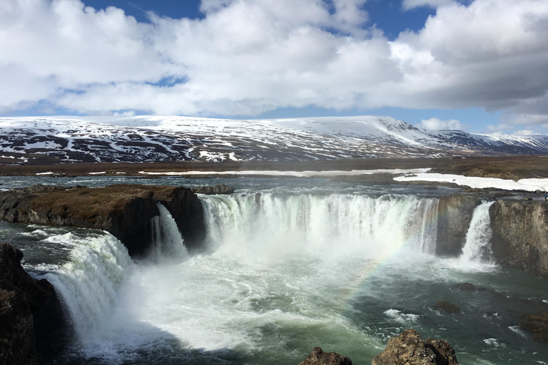 Krótka jednodniowa wycieczka do wodospadu Godafoss z Akureyri