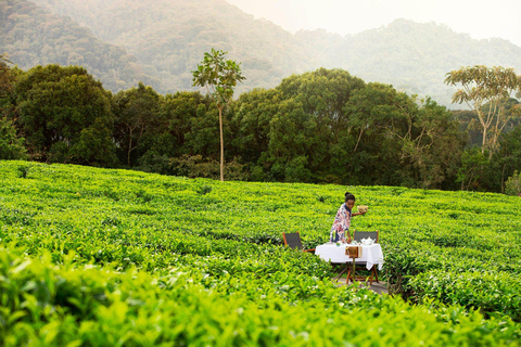 Rwanda Traditional & Modern Drinks Tour