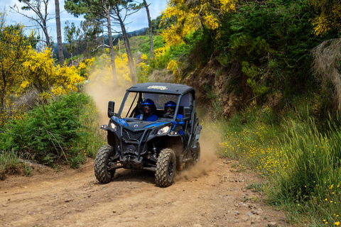 Madère : Trail Thrill Buggy Tour