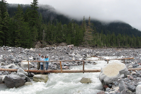 Seattle: Mount Rainier Park All-Inclusive Small Group Tour