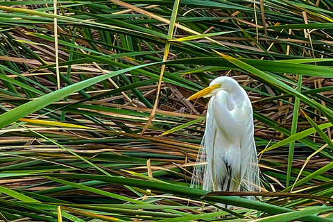 Last Little Wildlife Refuge in Lima