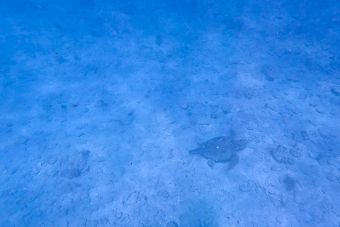 Ft Lauderdale: Combo Deal Snorkel Reefs, Kayak/SUP Mangroves