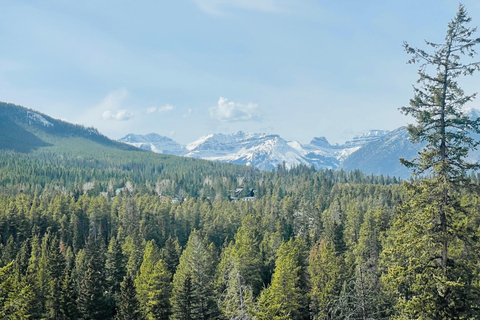 Au départ de Calgary : Visite de Banff, du lac Moraine et de Lake LouisePrise en charge à Calgary