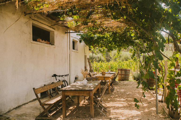 Corfu: E-Bike Tour with Wine Tasting and Winery Visit