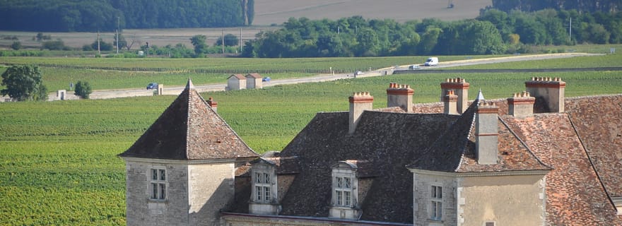 Demi-journée de dégustation de vin de Bourgogne à Beaune depuis Dijon