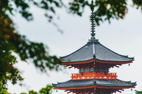 Excursion d&#039;une journée à Kyoto et Osaka avec personne parlant anglais et Nara