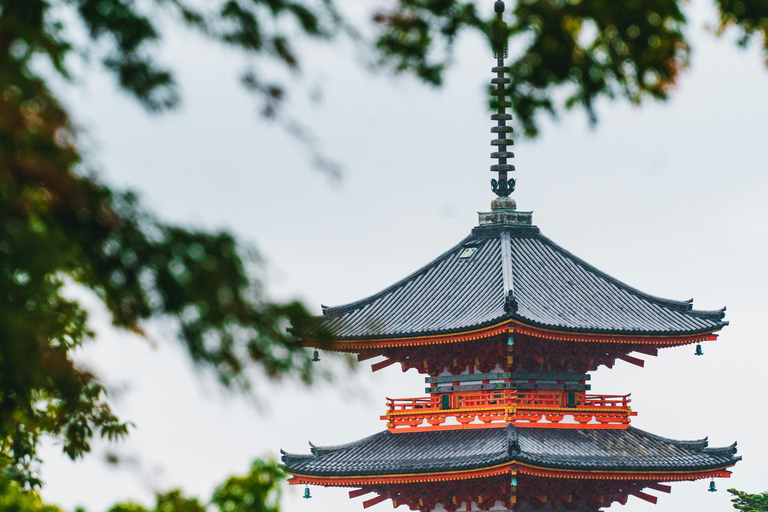 Excursion d&#039;une journée à Kyoto et Osaka avec personne parlant anglais et Nara