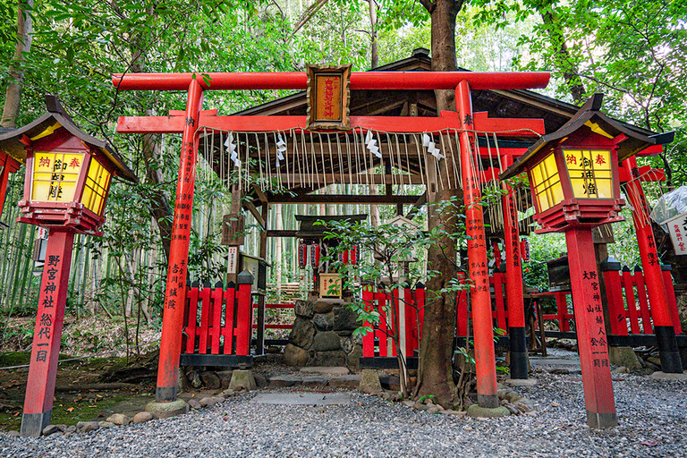 Osaka/Kyoto: Arashiyama, Nara Park & Fushimi Inari Day Tour Kyoto Departure: Private Sightseeing Tours