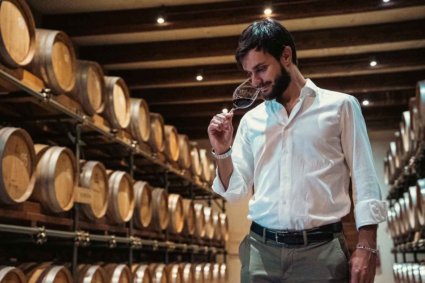 Bonzara Estate - Tour and wine tasting in the Colli Bolognesi