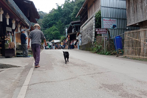 Mae Kampong Village, Hot Springs, Bo Sang Umbrellas Making