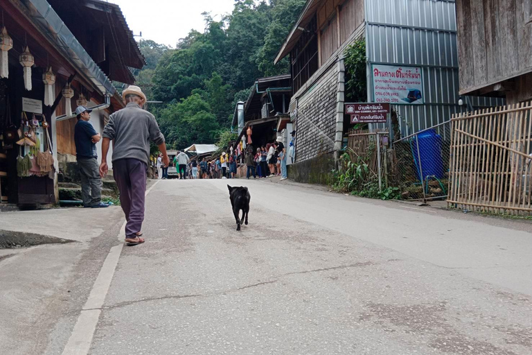 Chiang Mai: Mae Kampong Village, varma källor och Bor Sang Tour