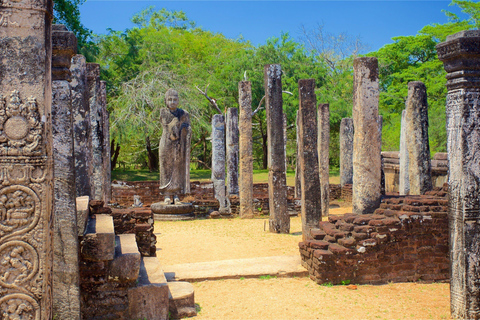 From Kandy: Polonnaruwa Day Tour, Medieval Capital Discovery