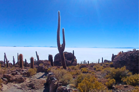 From Uyuni: 2 Day Salt Flats and Hot Springs Tour