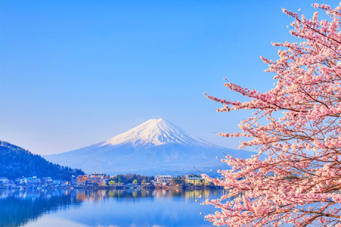 Mt. Fuji & Lake Kawaguchiko Ropeway Panorama Full-Day Tour Mt.Fuji Tour From JR Tokyo station 8:00am departure