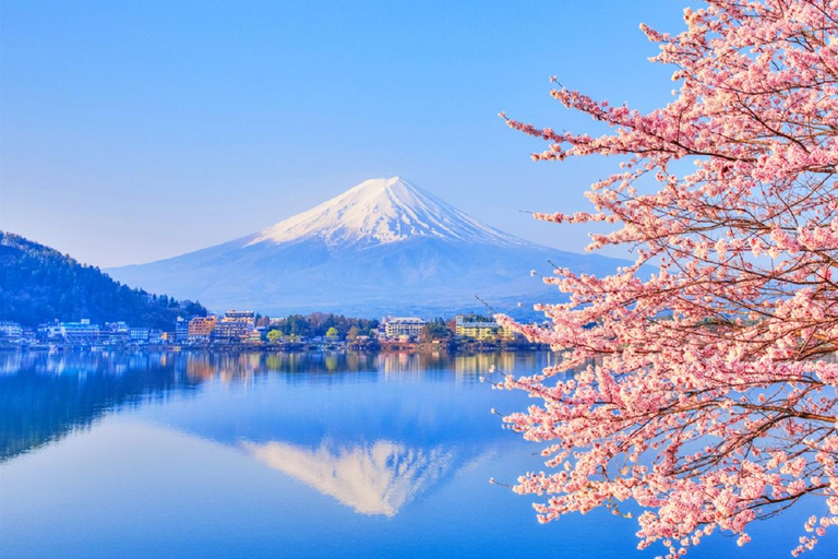 جبل فوجي وبحيرة كاواجوتشيكو روبواي وجولة أوشينو هاكاي ليوم واحدجولة جبل فوجي من محطة JR طوكيو المغا
